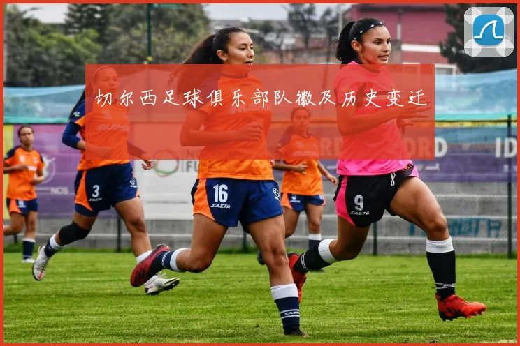 切尔西足球俱乐部队徽及历史变迁