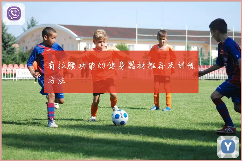 有拉腰功能的健身器材推荐及训练方法