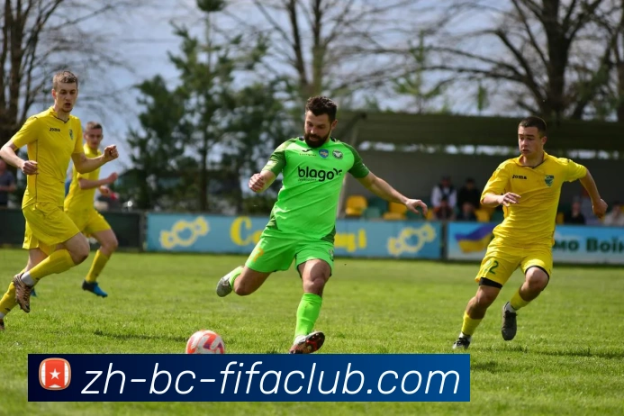 世界杯买球平台生态图